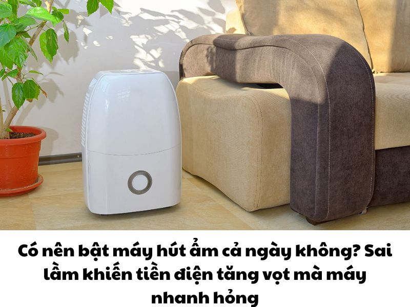 Có nên bật máy hút ẩm cả ngày không? Sai lầm khiến tiền điện tăng vọt mà máy nhanh hỏng
