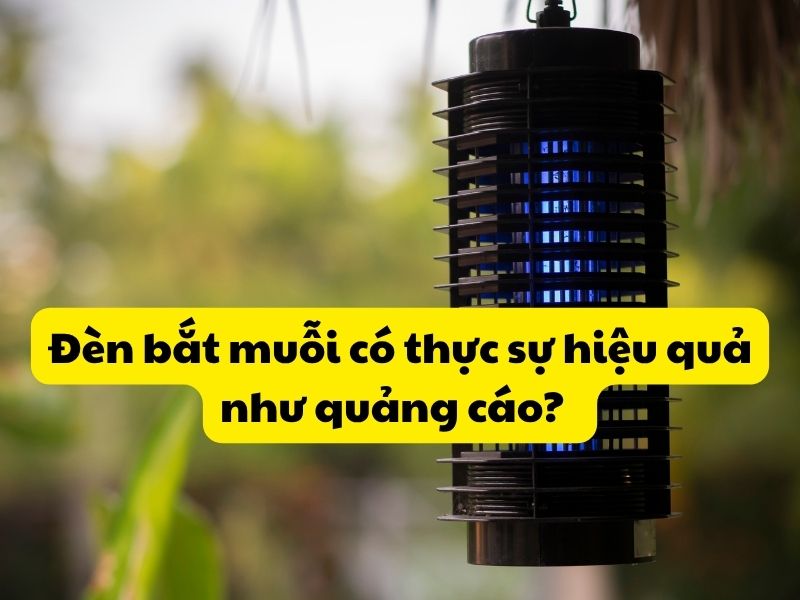 Đèn bắt muỗi có thực sự hiệu quả như quảng cáo?