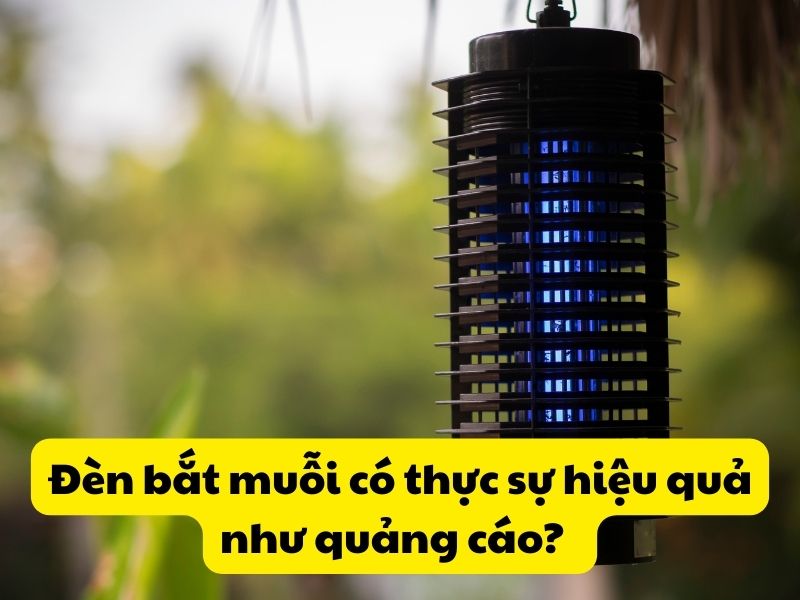 Đèn bắt muỗi có thực sự hiệu quả như quảng cáo?