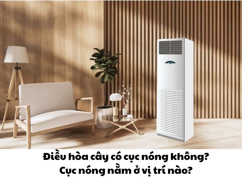 Điều hòa cây có cục nóng không? Cục nóng nằm ở vị trí nào?